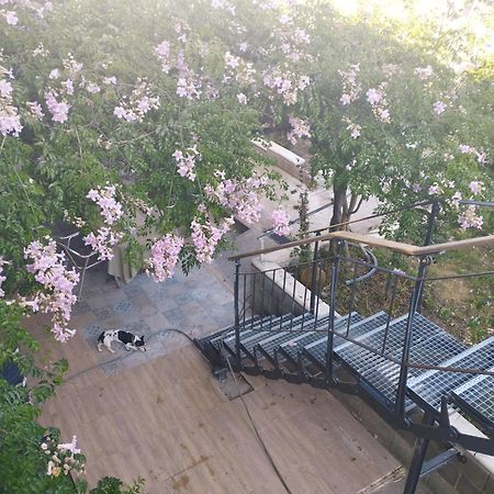 Riudecanyes La Fabriqueta Apartament מראה חיצוני תמונה
