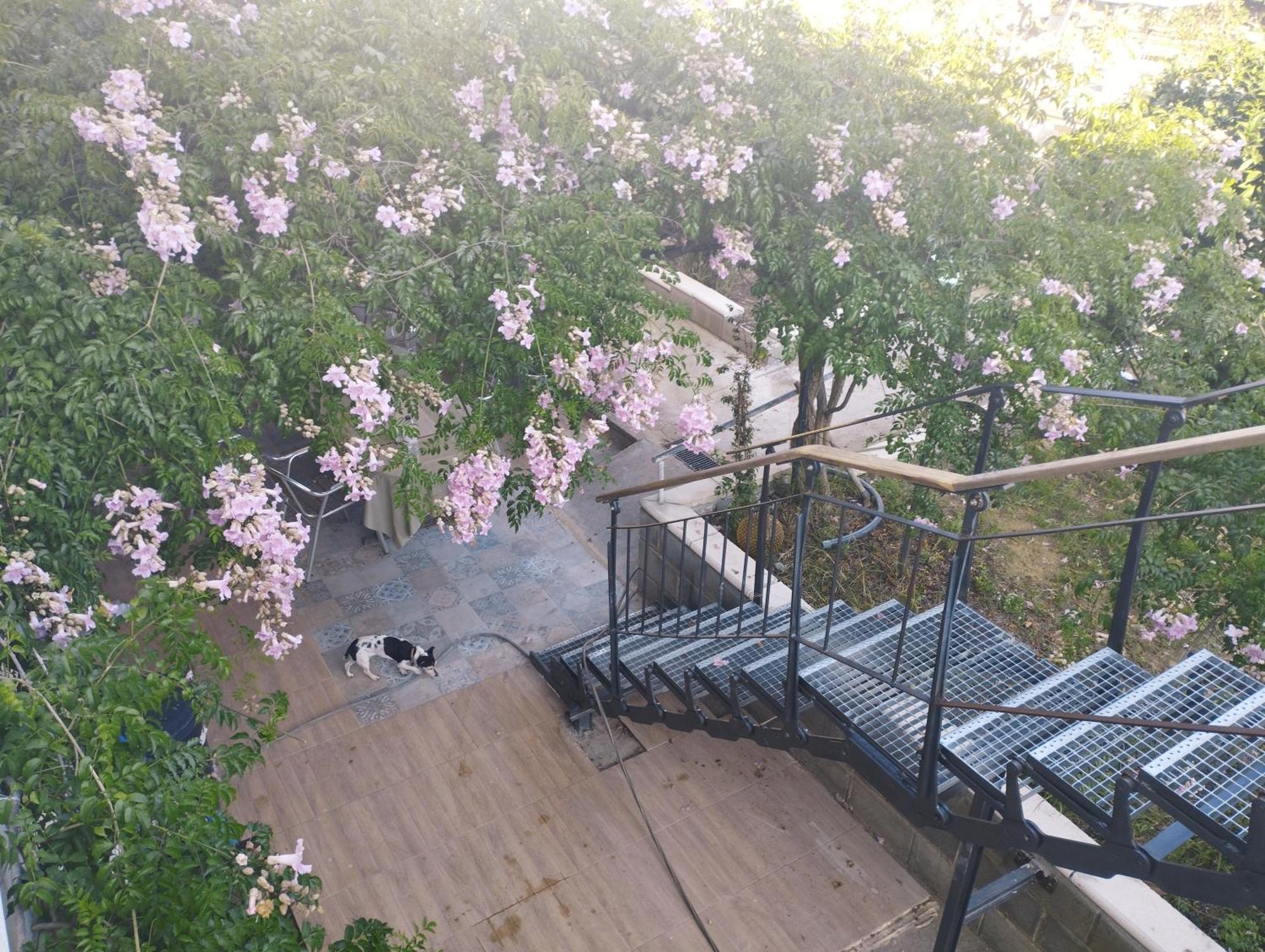 Riudecanyes La Fabriqueta Apartament מראה חיצוני תמונה